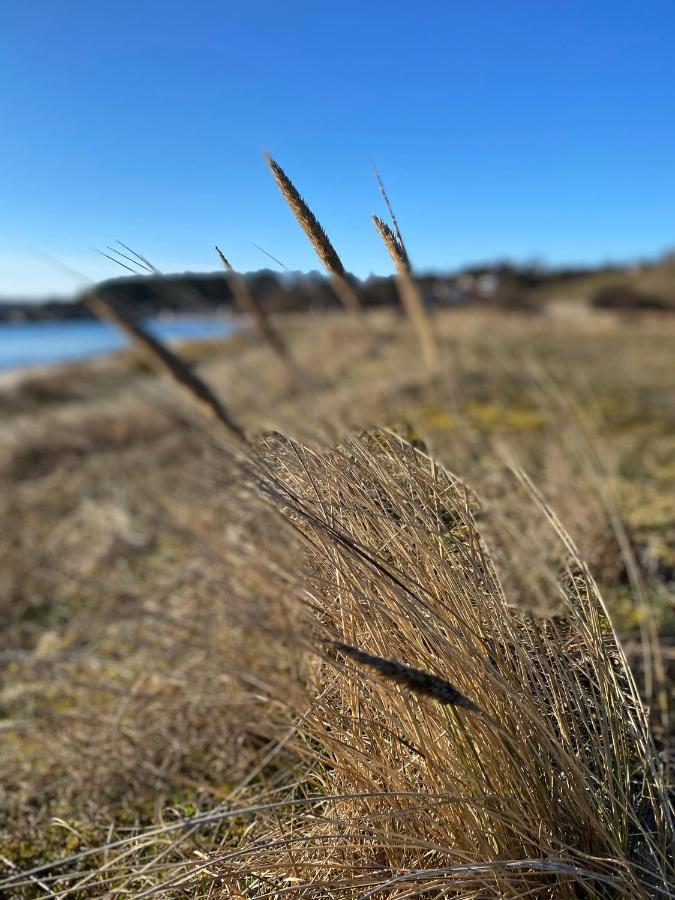 Kaptenshuset Hotell Kivik Buitenkant foto